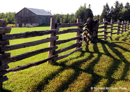 fence